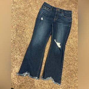 Maurices Medium Blue Flare Jeans with Distressed Hem